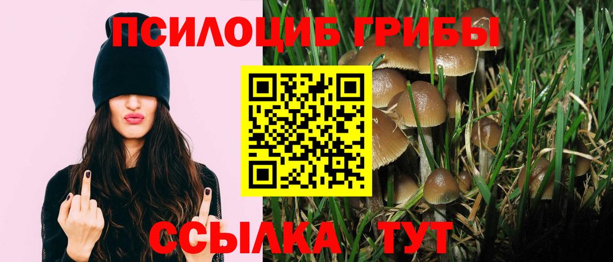 Псилоцибиновые грибы мухоморы  Псилоцибиновые грибы Magic Shrooms  Боровичи  Вход с VPN 