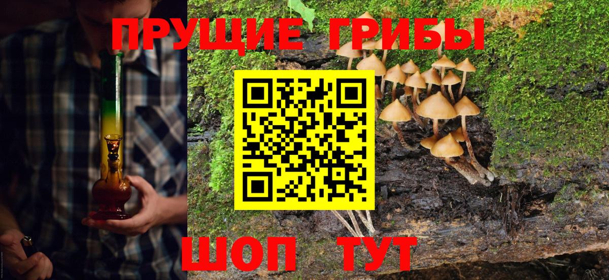 Галлюциногенные грибы прущие грибы Боровичи